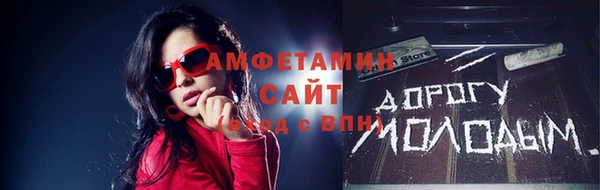 гашик Пестово
