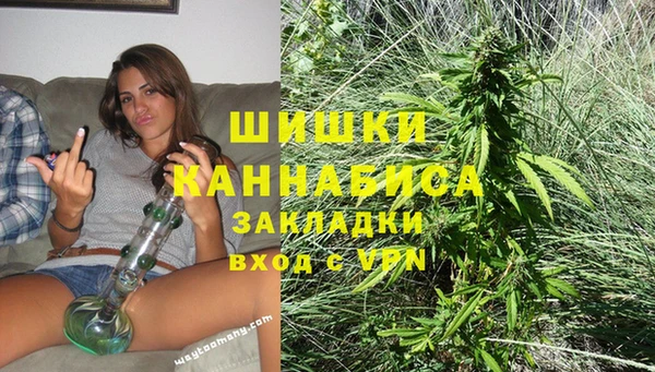 стафф Осташков