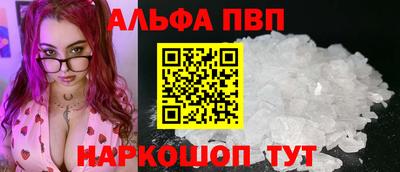 герыч Кингисепп