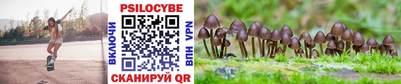Галлюциногенные грибы GOLDEN TEACHER  мориарти официальный сайт  Полысаево  где купить  
