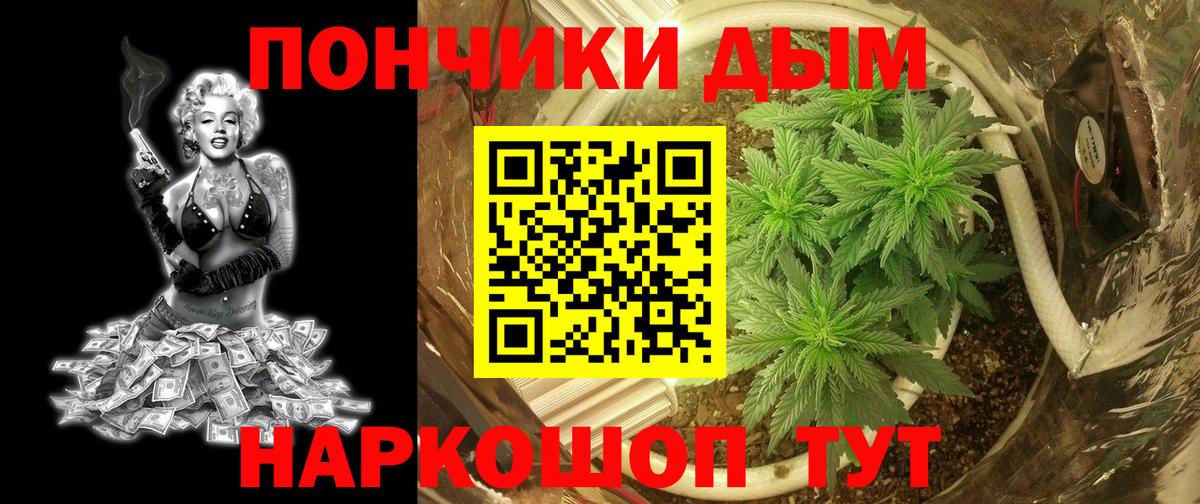 МАРИХУАНА сатива Полысаево